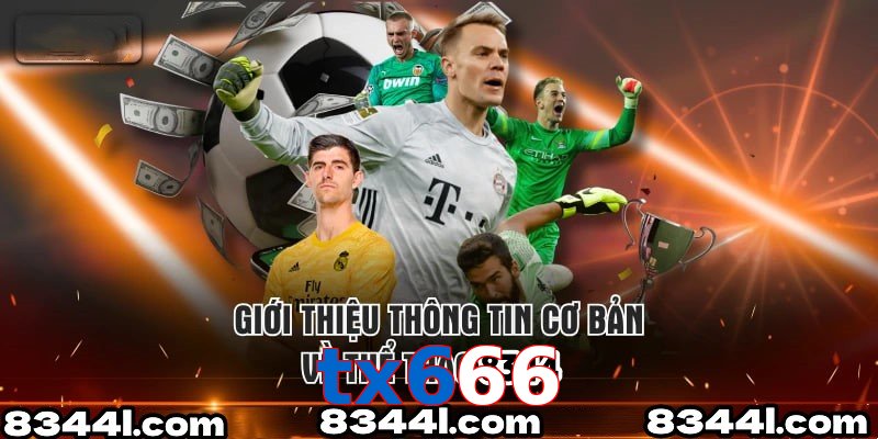 Giới Thiệu Thông Tin Cơ Bản Về Chuyên Mục Thể Thao tx666